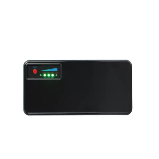 Battery Airwheel valise – Image 2