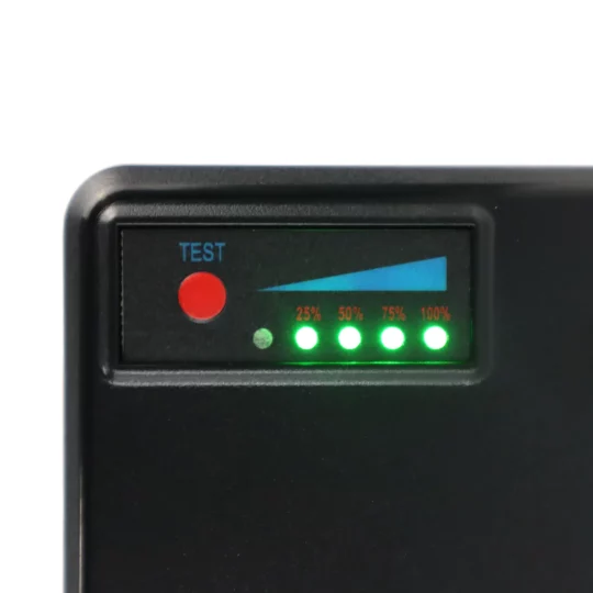 Battery Airwheel valise – Image 3
